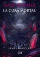 Cover of Maze Runner
