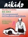 Immagine di Aikido