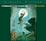 Cover of "Peter and the Shadow Thieves"