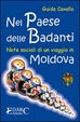 Cover of Nel paese delle badanti