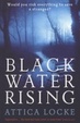 Cover of Black Water Rising