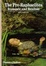 Cover of The Pre-Raphaelites