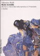Cover of Reale invisibile. Mimesi e interiorità nella narrativa di Pirandello e Gadda