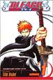 Cover of Bleach vol. 1
