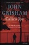 Cover of Calico Joe