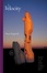 Cover of Velocity