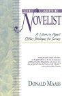 The Career Novelist : A Literary Agent Offers Strategies for Success