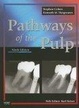 Cover of Pathways of the Pulp