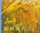 Cover of 稻米長大了