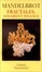 Cover of "Fractales, hasard et finance, 1959-1997"