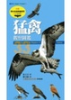 Cover of 猛禽觀察圖鑑