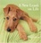 Cover of "A New Leash on Life"