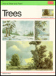 Cover of Trees
