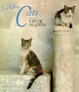 Cover of More Cats of the Greek Islands