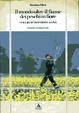 Cover of Il mondo oltre il fiume dei peschi in fiore