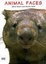 Cover of Animal Faces