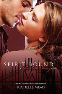 Image of Vampire Academy Volume 5
