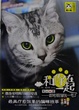 Cover of 和你在一起
