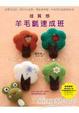 Cover of 超質感羊毛氈速成班：蘋果綠40款全系列創意手作（附DVD）