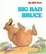 Cover of Big Bad Bruce