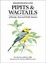 Cover of Pipits and Wagtails of Europe, Asia and North America