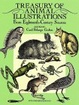 Cover of Treasury of Animal Illustrations