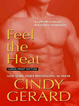 Cover of Feel the Heat