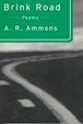 Cover of Brink Road