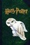 Cover of Harry Potter Journal