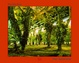 Cover of Paradise Now