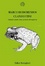 Cover of Clandestini