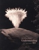 Cover of Understanding Art With Infotrac