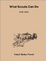 Cover of What Scouts Can Do