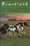 Cover of Ritorno a casa-Dopo la tempesta. Heartland