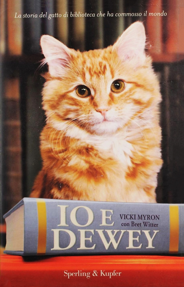 More about Io e Dewey