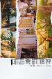 Cover of 不正常的信仰