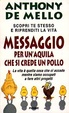 Cover of Messaggio per un'aquila che si crede un pollo