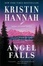 Cover of "Angel Falls"