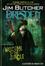 Cover of The Dresden Files