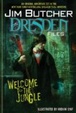 Cover of The Dresden Files