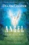 Cover of "Angel Inspiration"