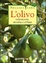 Cover of L'olivo