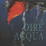Cover of Dire acqua