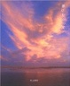 Cover of 夢にむかって