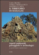 Cover of Il territorio di Masullas. Aspetti ambientali, paesaggistici e archeologici