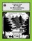 Cover of "A Literature Unit for Bridge to Terabithia by Katherine Paterson"