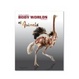 Cover of Gunther von Hagens' Body worlds of animals