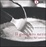 Cover of Il gambero nero