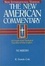 Cover of "The New American Commentary"