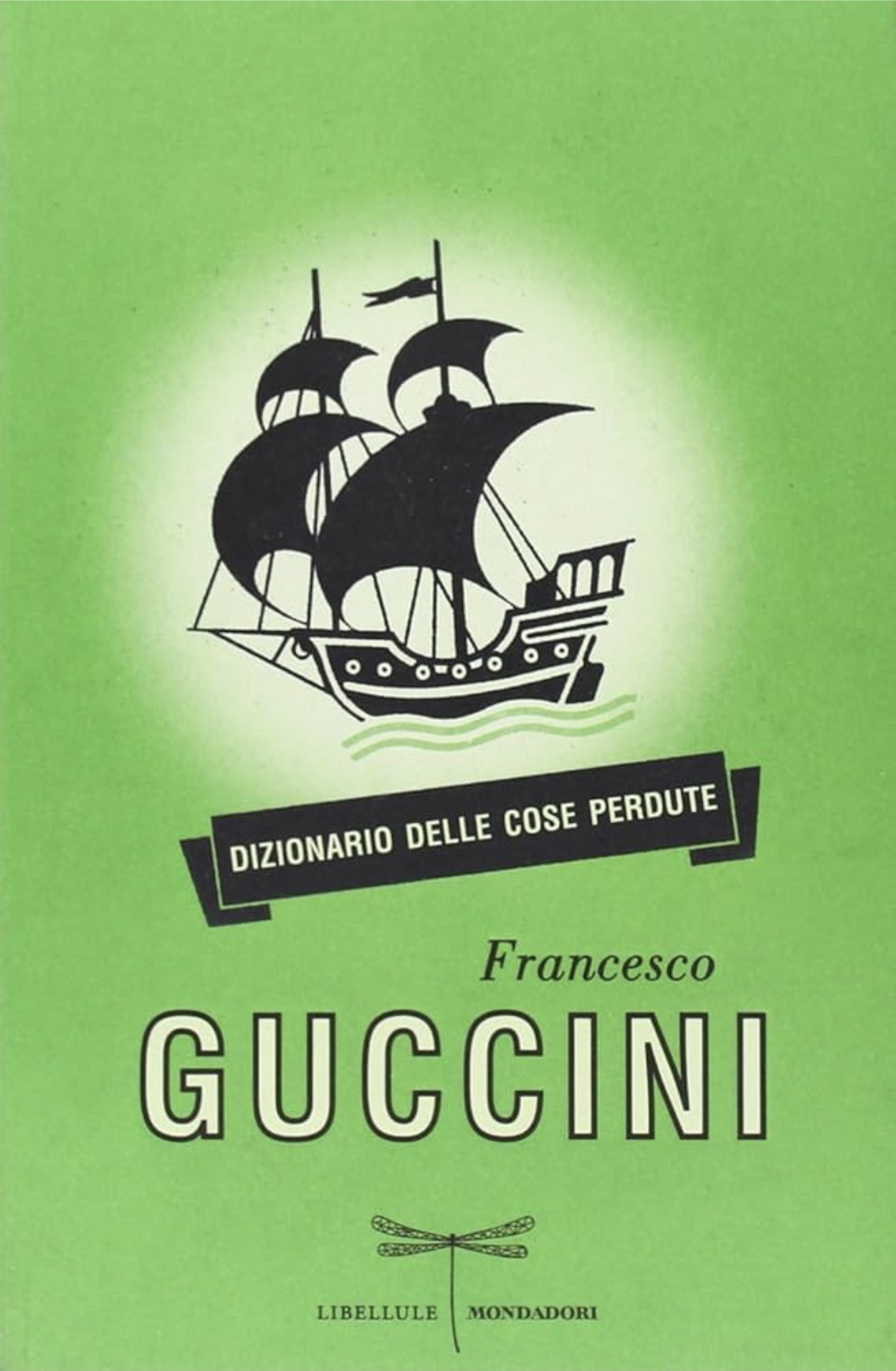 Image of Dizionario delle cose perdute